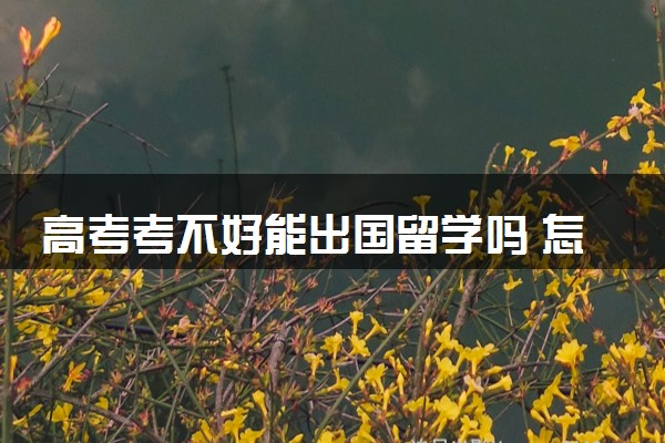 高考考不好能出国留学吗 怎么出国