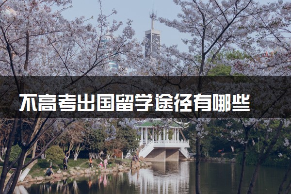 不高考出国留学途径有哪些 需要什么条件