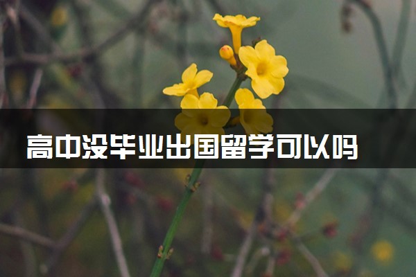 高中没毕业出国留学可以吗 需要哪些条件
