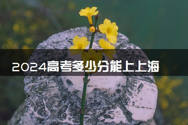 2024高考多少分能上上海财经大学浙江学院 最低分数线和位次