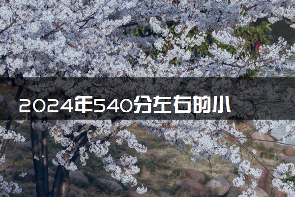 2024年540分左右的小学教育大学名单 可以报哪些院校