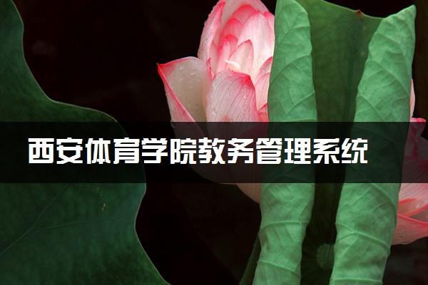 西安体育学院教务管理系统 怎么登录