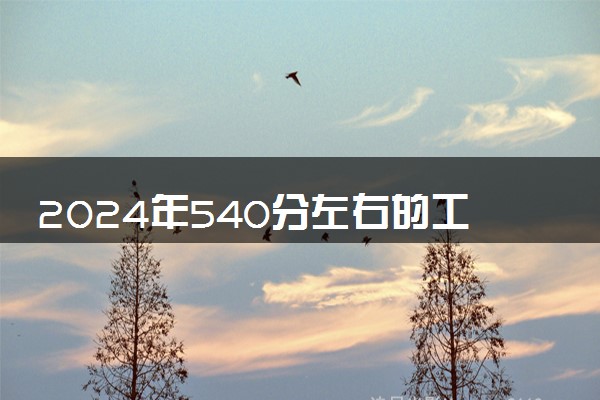 2024年540分左右的工商管理大学名单 可以报哪些院校