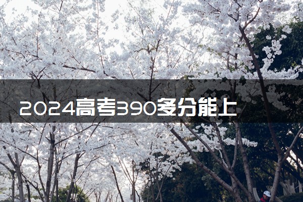 2024高考390多分能上什么学校 有哪些推荐