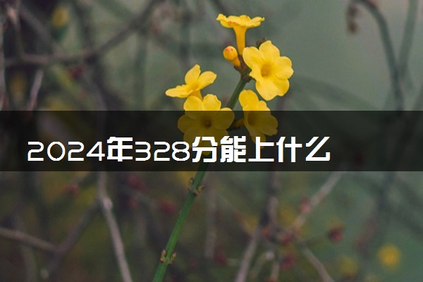 2024年328分能上什么专科学校 有哪些推荐