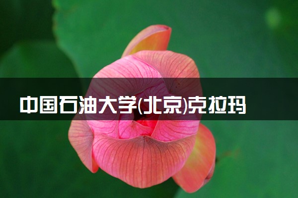 中国石油大学(北京)克拉玛依校区2024年录取分数线 各专业录取最低分及位次