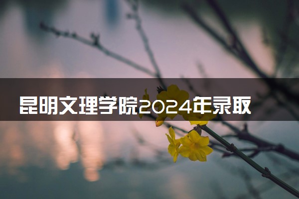 昆明文理学院2024年录取分数线 各专业录取最低分及位次