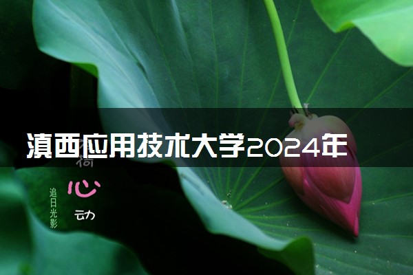 滇西应用技术大学2024年录取分数线 各专业录取最低分及位次
