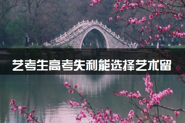 艺考生高考失利能选择艺术留学吗 去哪个国家比较好