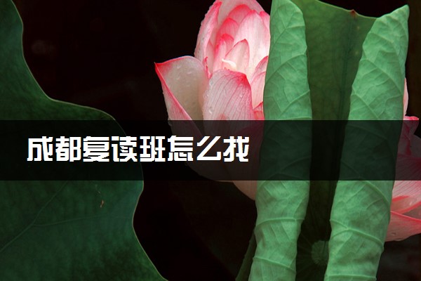 成都复读班怎么找