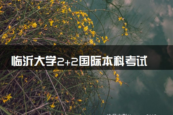 临沂大学2+2国际本科考试时间是什么 项目怎么样
