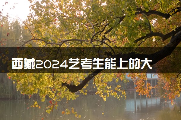 西藏2024艺考生能上的大学有哪些 可以报考的院校名单