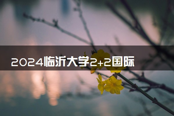 2024临沂大学2+2国际本科入学要求有哪些 项目怎么样