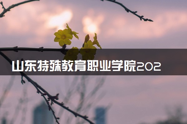山东特殊教育职业学院2024年录取分数线 各专业录取最低分及位次