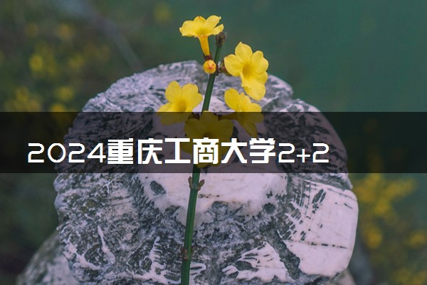 2024重庆工商大学2+2国际本科录取通过率高吗
