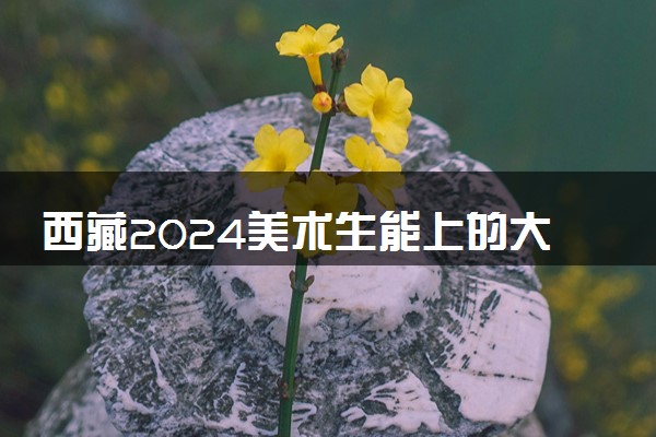 西藏2024美术生能上的大学有哪些 可以报考的院校名单
