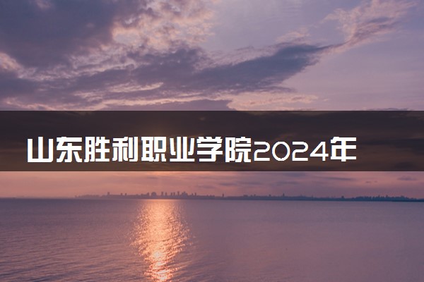 山东胜利职业学院2024年录取分数线 各专业录取最低分及位次