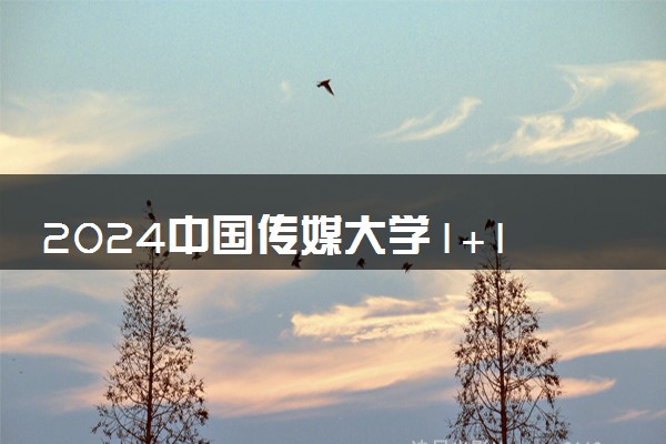 2024中国传媒大学1+1硕士预科奖学金多少钱一年