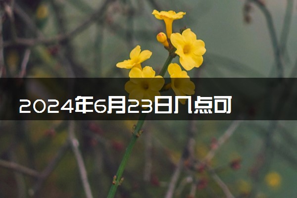 2024年6月23日几点可以查分 高考成绩查询方法有哪些