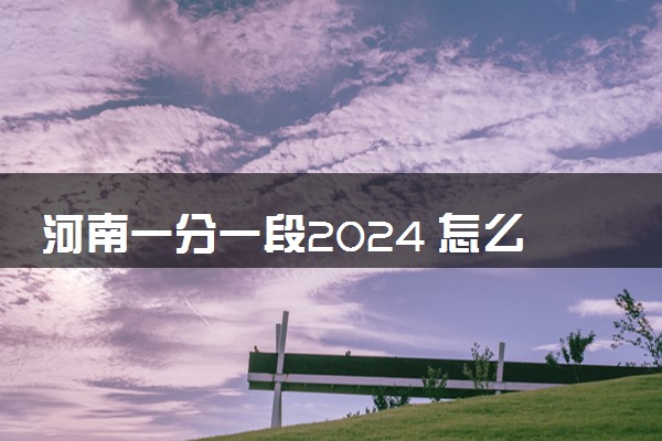 河南一分一段2024 怎么查位次