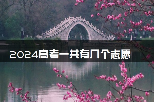 2024高考一共有几个志愿 该如何填报