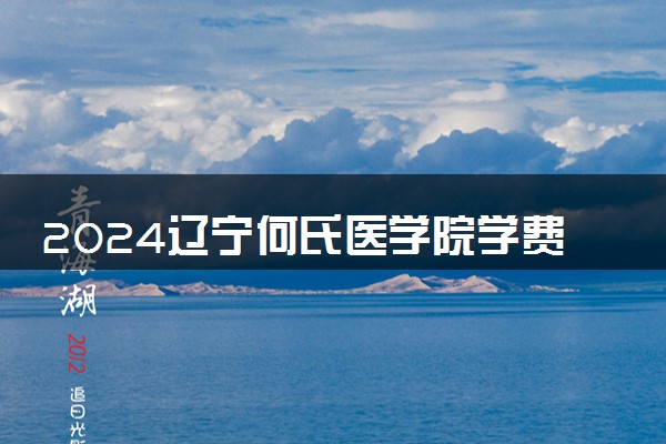 2024辽宁何氏医学院学费多少钱一年 各专业收费标准