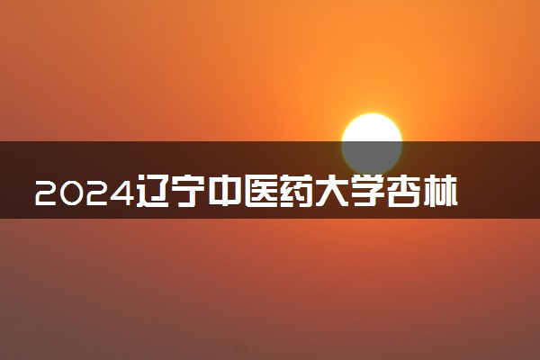 2024辽宁中医药大学杏林学院学费多少钱一年 各专业收费标准