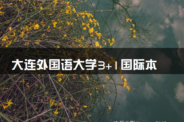 大连外国语大学3+1国际本科合作院校有哪些