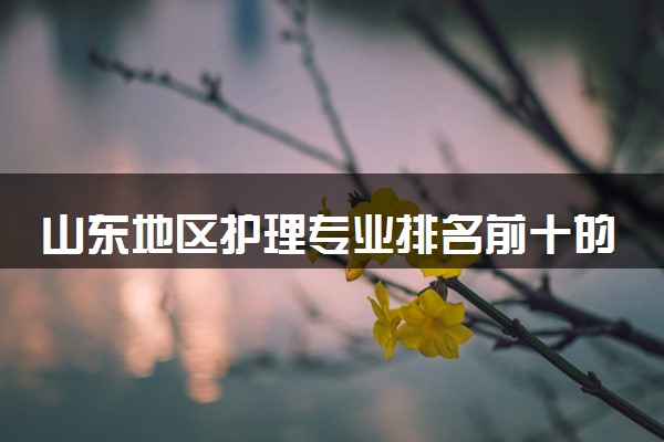 山东地区护理专业排名前十的学校
