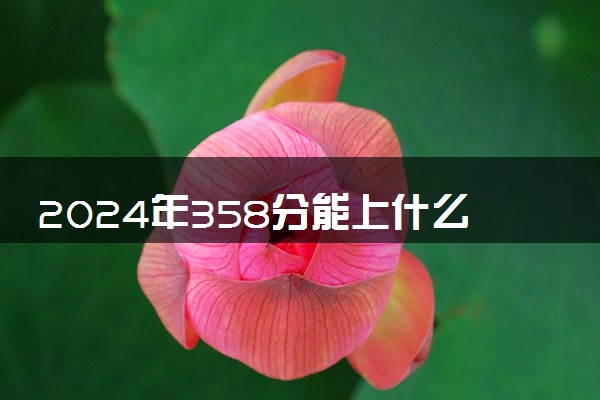 2024年358分能上什么学校 可以报哪些大学