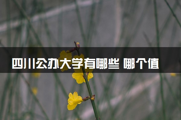 四川公办大学有哪些 哪个值得报考