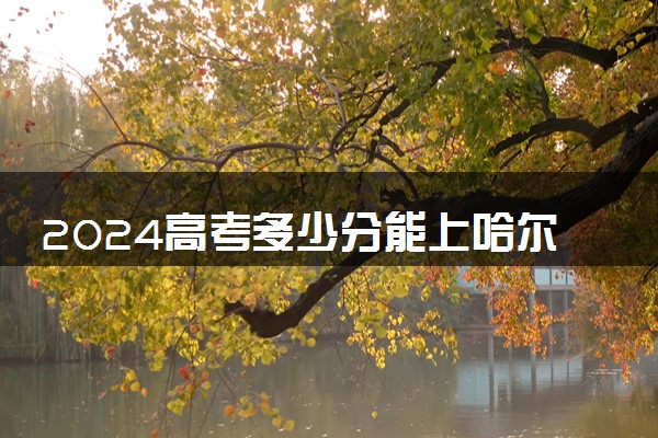 2024高考多少分能上哈尔滨应用职业技术学院 最低分数线和位次