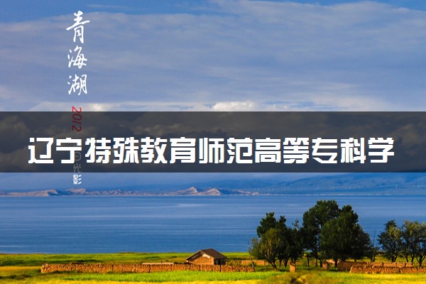 辽宁特殊教育师范高等专科学校2024年录取分数线 各专业录取最低分及位次