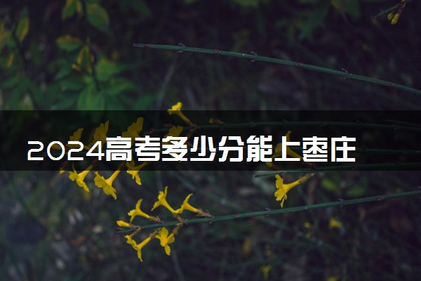2024高考多少分能上枣庄职业学院 最低分数线和位次