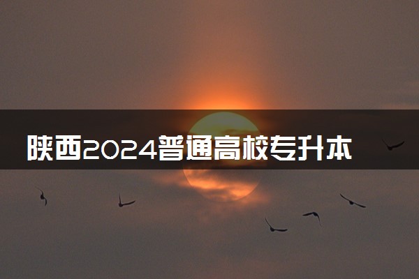 陕西2024普通高校专升本计划最新公布 各院校招收多少人