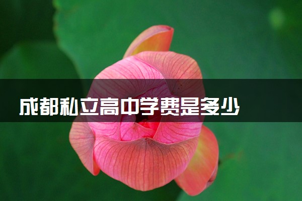 成都私立高中学费是多少