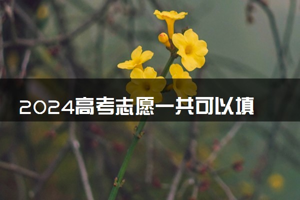 2024高考志愿一共可以填多少个学校 能报几个专业