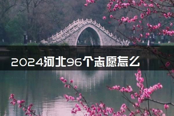 2024河北96个志愿怎么填 如何填报不浪费分数