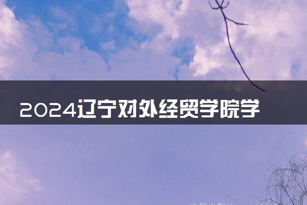 2024辽宁对外经贸学院学费多少钱一年 各专业收费标准
