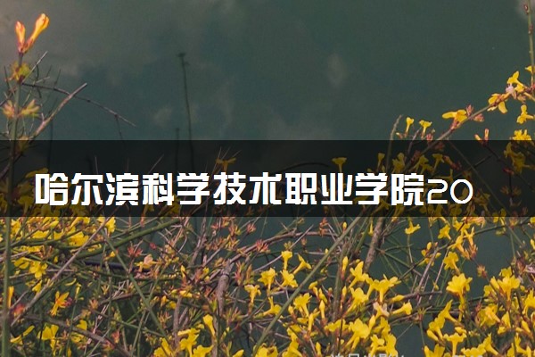 哈尔滨科学技术职业学院2024年录取分数线 各专业录取最低分及位次