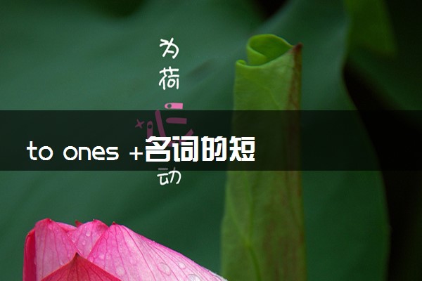 to ones +名词的短语