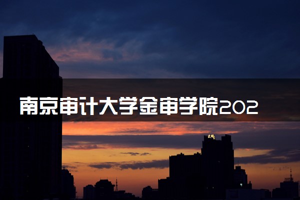 南京审计大学金审学院2024年录取分数线 各专业录取最低分及位次
