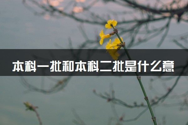 本科一批和本科二批是什么意思 有几个批次