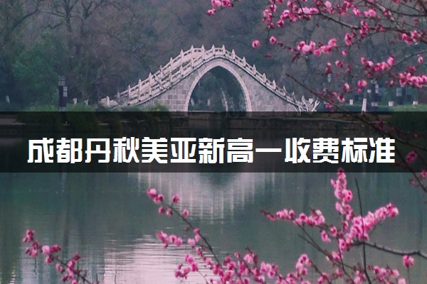 成都丹秋美亚新高一收费标准
