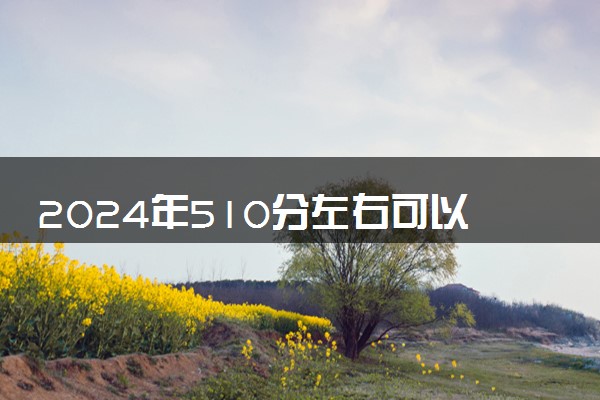 2024年510分左右可以报的电子商务大学 有哪些推荐