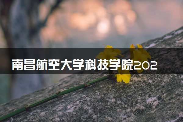 南昌航空大学科技学院2024年录取分数线 各专业录取最低分及位次