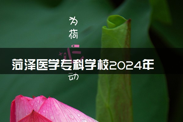 菏泽医学专科学校2024年录取分数线 各专业录取最低分及位次