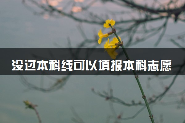没过本科线可以填报本科志愿吗 有机会上本科吗