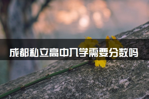 成都私立高中入学需要分数吗