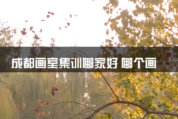 成都画室集训哪家好 哪个画室值得报名